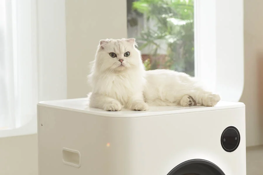 robotic kitty litter box